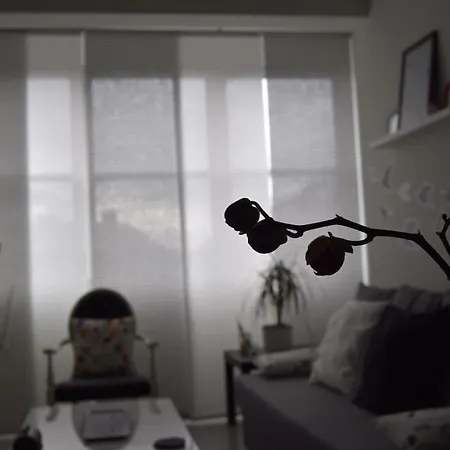 Piso Con Encanto En Coruña. Apartamento *